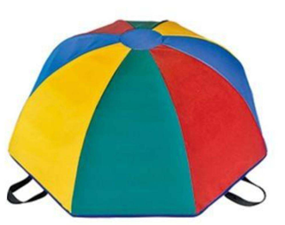 Rainbow mushroom